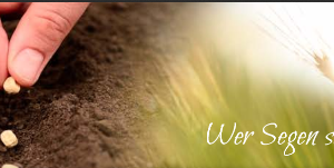 Neben dem Logo der Stiftung der St. Petri-Schloss-Kirchgemeinde wird auf der linken Bildhäfte Samen gesät. Auf der rechten Bildhälfte streift eine Hand im Sonnenschein durch ein Getreidefeld und darüber steht der Text: "Wer Segen sät, wird Segen ernten."