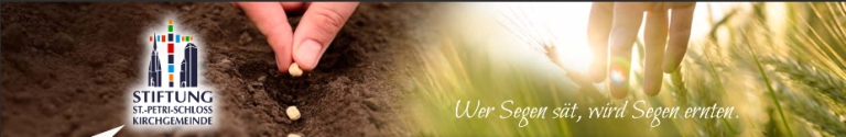 Neben dem Logo der Stiftung der St. Petri-Schloss-Kirchgemeinde wird auf der linken Bildhäfte Samen gesät. Auf der rechten Bildhälfte streift eine Hand im Sonnenschein durch ein Getreidefeld und darüber steht der Text: "Wer Segen sät, wird Segen ernten."